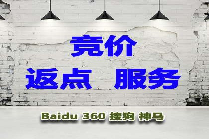 百度竞价推广案例：打造品牌影响力